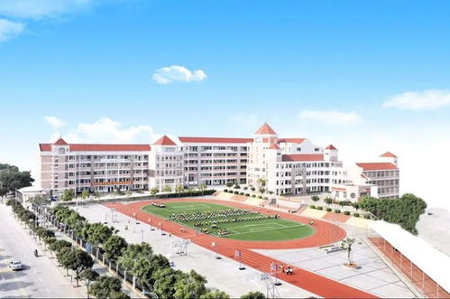 集美区三所公办学校招聘启事 部分岗位大专学历可报，诚邀加入小学教育队伍