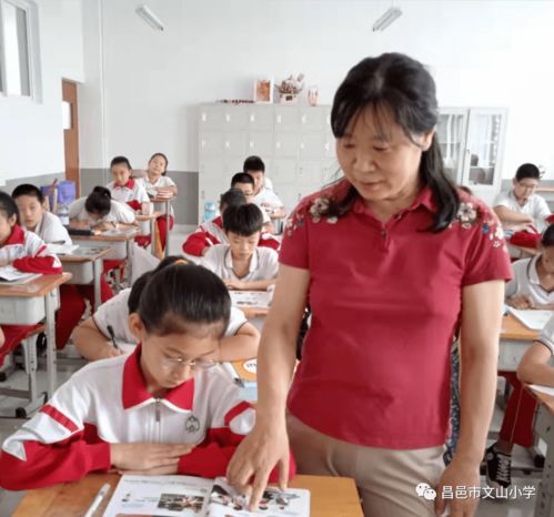 不忘初心，躬耕杏坛——文山小学优秀教师风采展示（二） 小学学历教育篇