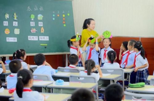 小学教育新规出台，学历与专业双重门槛或将重塑教师队伍